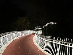 -金鸡山公园