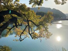 -四明山国家森林公园