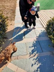 -萌宠亲子动物乐园(槐房万达店)