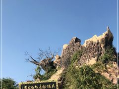 -大槐树寻根祭祖园