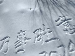 -沈阳奥体冰雪嘉年华