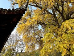 -苏州上方山国家森林公园