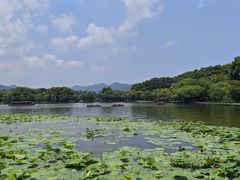 -浙江西湖美术馆