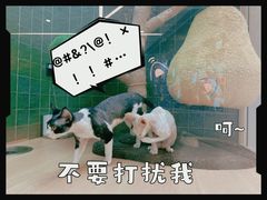 -首开·龙湖成都西宸天街