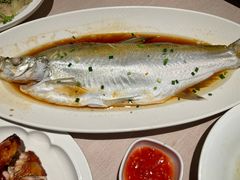 -顺鹅季·非遗烧鹅(六道口店)