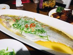 鸡汁蒸太湖白鱼-金枝玉叶上海人家食府(三里河店)