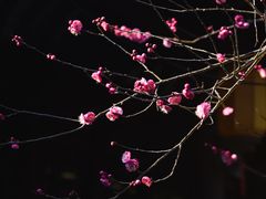 -丝绸小镇荻港古村
