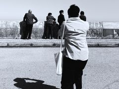 -南汇嘴观海公园