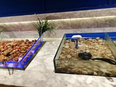 -火锅岛潮牌自助餐厅(天津天佑城店)