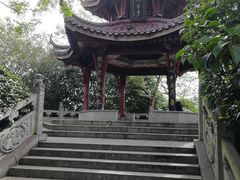 -伯先公园