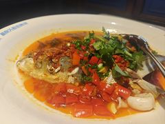 坛宗剁椒鱼头-坛宗剁椒鱼头(河西王府井店)