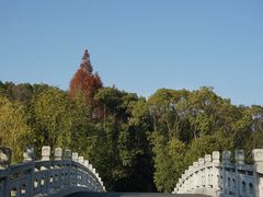 -同里国家湿地公园