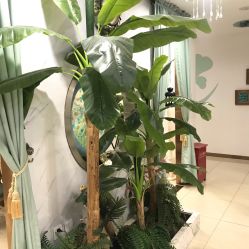 -东方凯丽·美容抗衰会所·菲比店