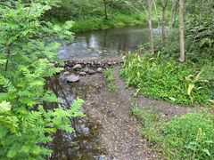 -桤木河湿地公园