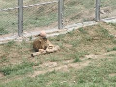 -青藏高原野生动物园
