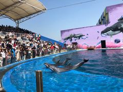 -秦皇岛乐岛海洋王国