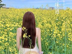 -光明小镇欢乐田园
