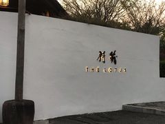 -几荷·恰似故人来(秀水广场店)
