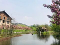-黄陂区野村谷景区