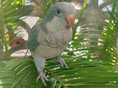 -撸啊撸铁签小肉(车站南路店)