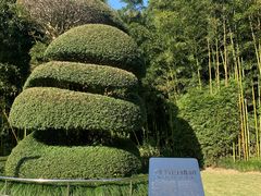 -苏州河梦清园环保主题公园