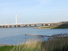 -上海吴淞炮台湾国家湿地公园