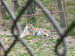 -哈尔滨北方森林动物园