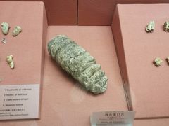 -广东省博物馆