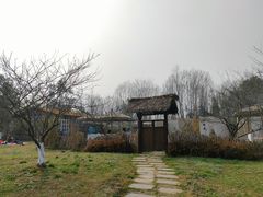 -桤木河湿地公园