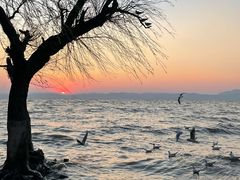 -捞渔河湿地公园