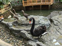 -南宫五洲植物乐园