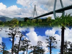 -芒洲湿地公园