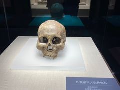 -呼伦贝尔民族博物馆