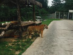 -西安秦岭野生动物园