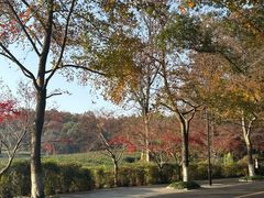 -北山街历史文化街区