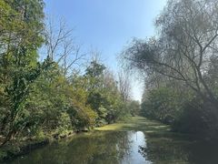 -溱湖国家湿地公园