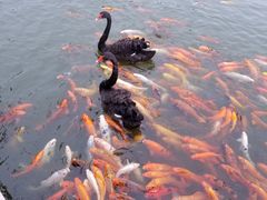 -春晖园度假酒店温泉