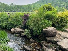 -中国茶叶博物馆(双峰馆区)