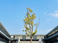 -智慧湾科创园