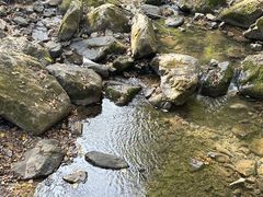 -香炉山国家森林公园