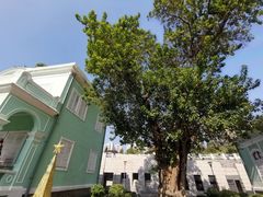 -龙环葡韵住宅式博物馆
