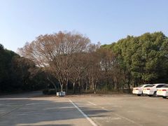 -胜华驾校·小猫学车(银都店)