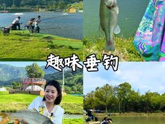 -上海山野camping·户外天幕烧烤·团建拓展营地