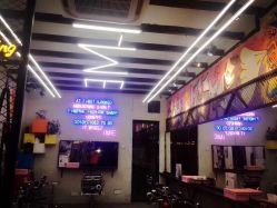 -SALON V