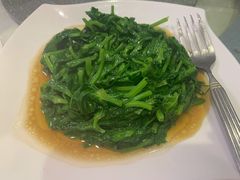 清炒豆苗-新加坡泰园村酒楼直营(新华路店)