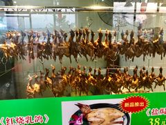 乳鸽-一煲鸽