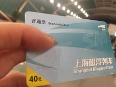 -龙阳路磁悬浮列车总站-停车场