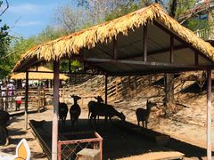 -北京鹿世界主题园