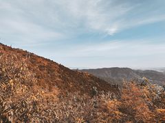 -香山公园
