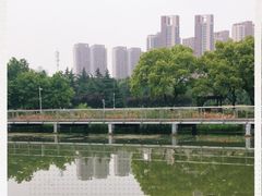 -月湖风景区